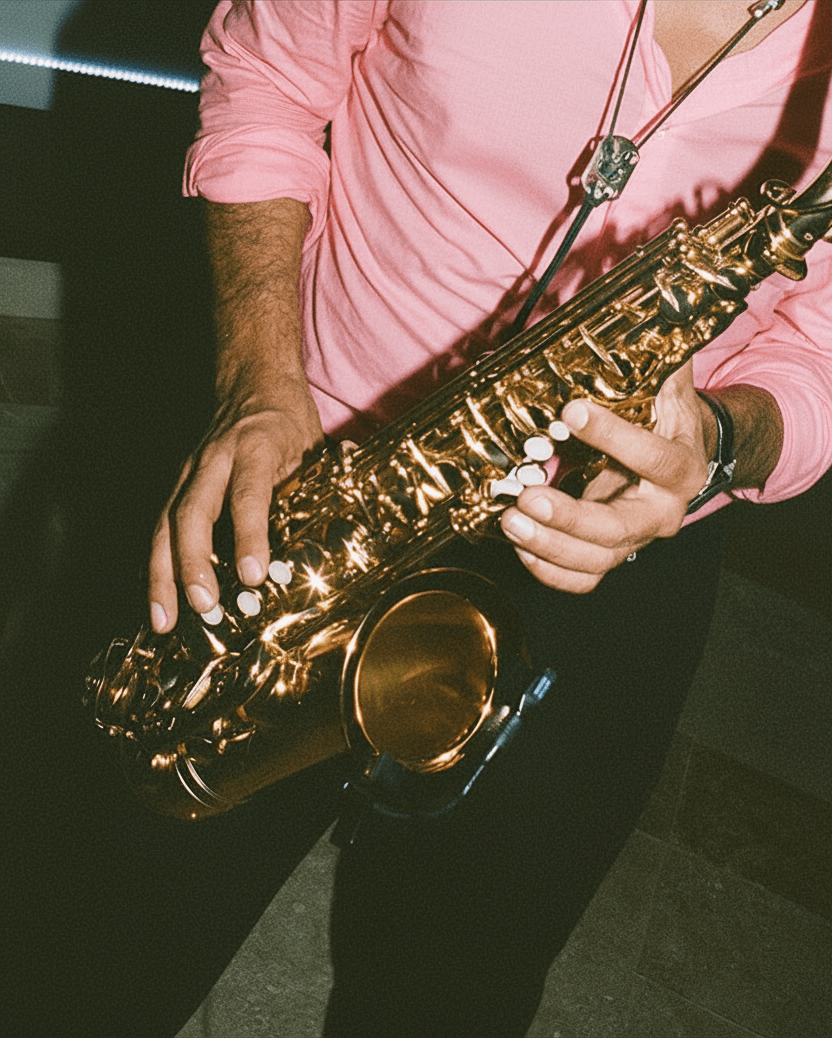 Instrumentalist / Musician