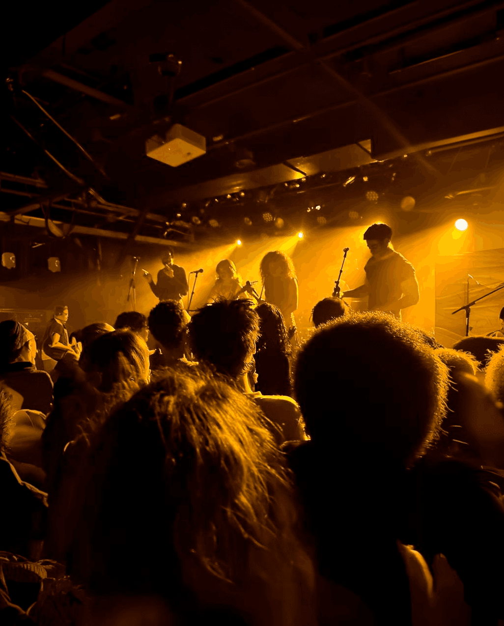 Concert & Live Music Venues