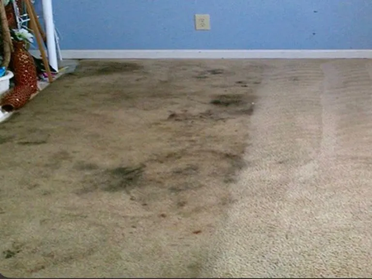 Photo 2 of 6
